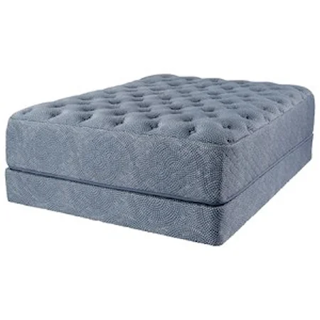 Queen 14" Plush Pocketed Coil Mattress and Bahama Low Profile Base